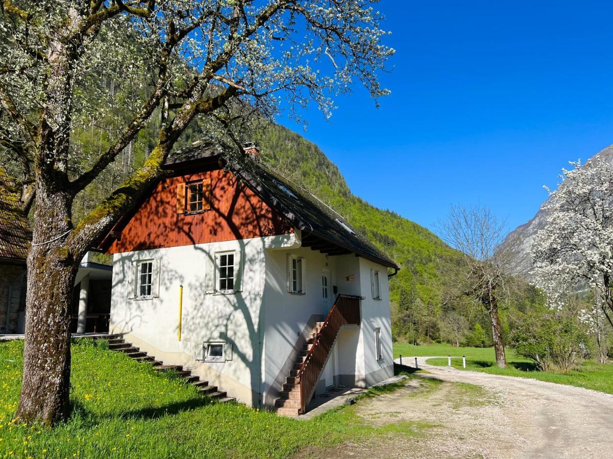 Apartments Mala Korita Soce Soča Zewnętrze zdjęcie