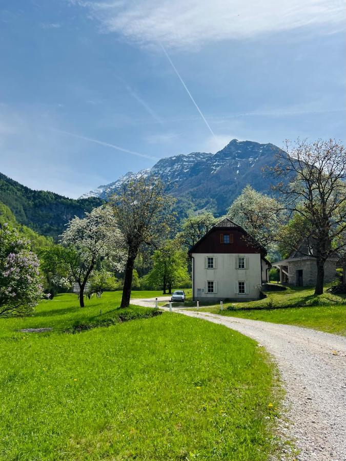 Apartments Mala Korita Soce Soča Zewnętrze zdjęcie