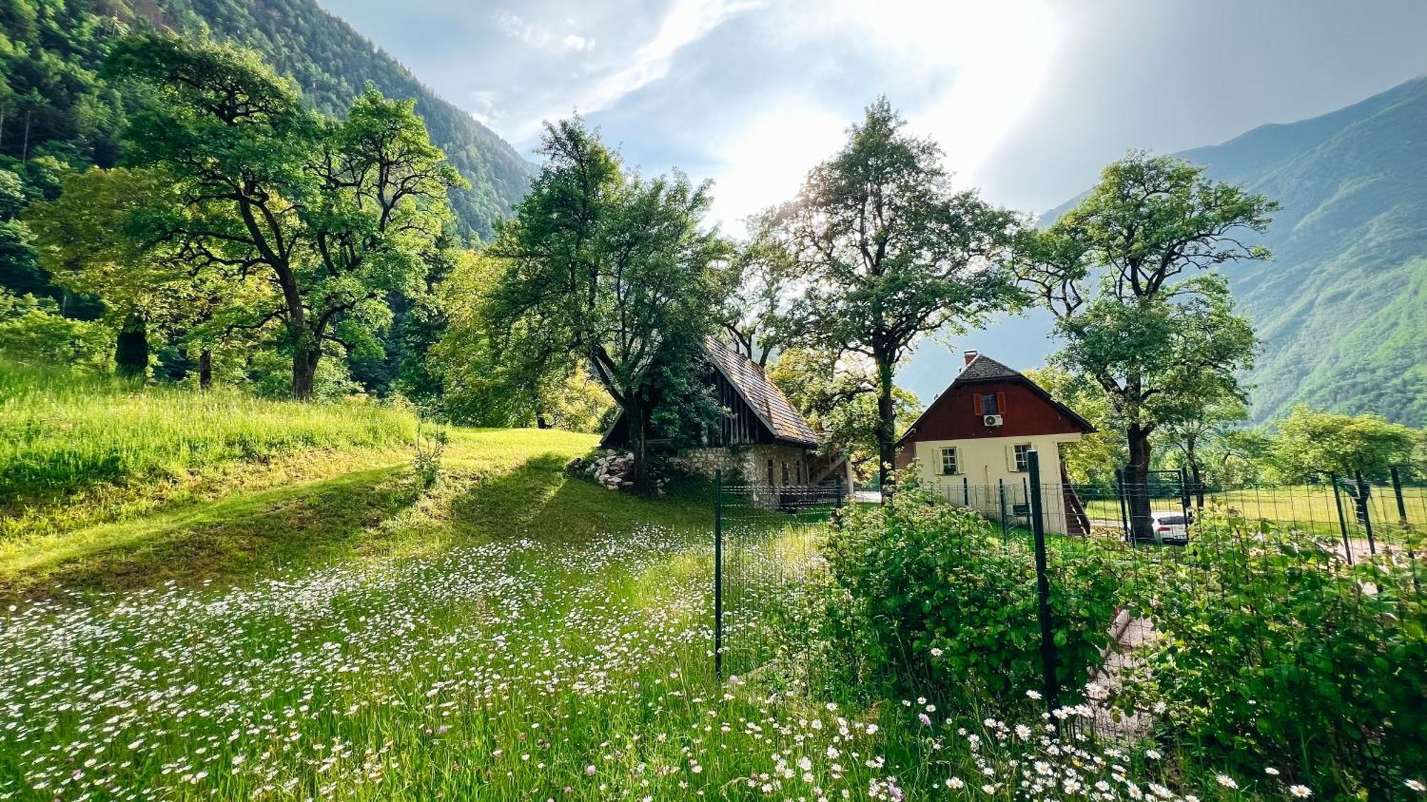 Apartments Mala Korita Soce Soča Zewnętrze zdjęcie