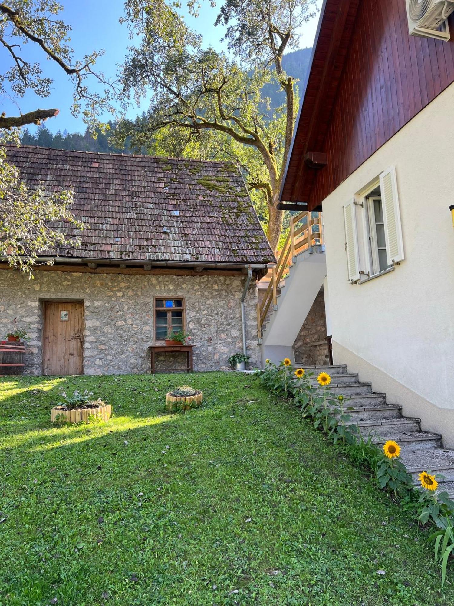Apartments Mala Korita Soce Soča Zewnętrze zdjęcie