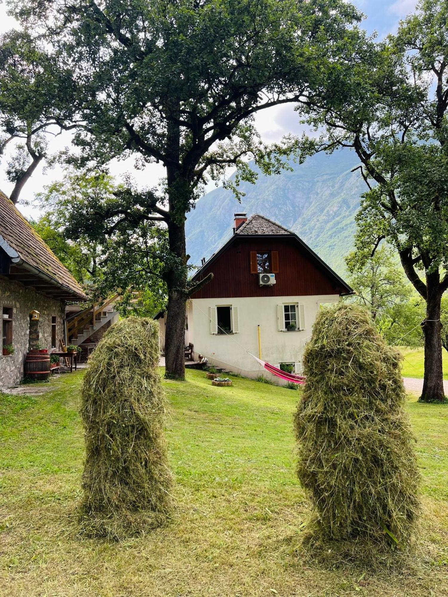 Apartments Mala Korita Soce Soča Zewnętrze zdjęcie