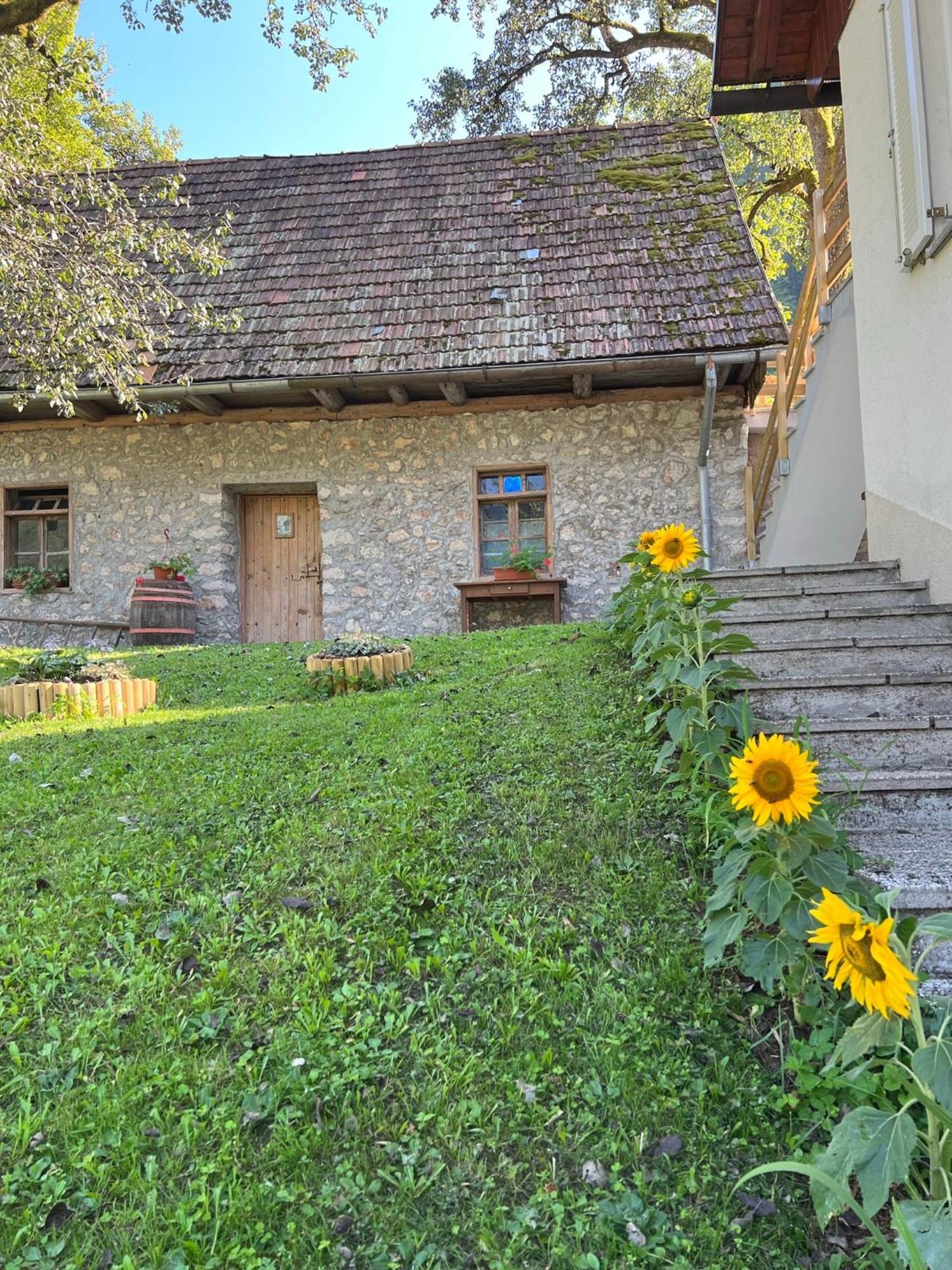 Apartments Mala Korita Soce Soča Zewnętrze zdjęcie
